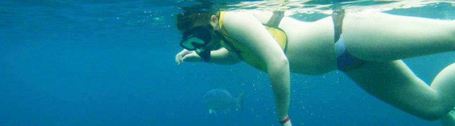 Marietas Islands Snorkeling & Marine Birds Eco Tour 7