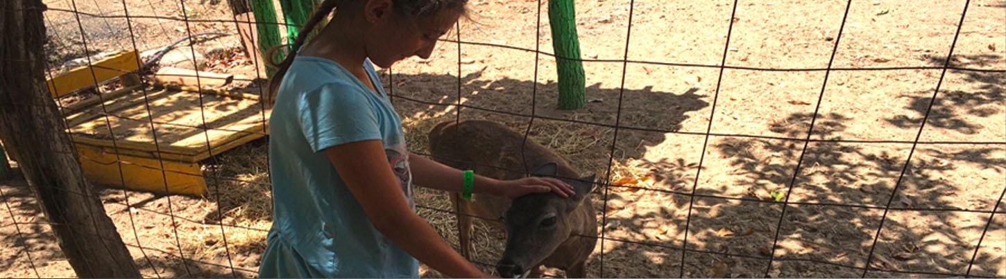 Canopy Rancho Las Vegas Zip Line Tour 8