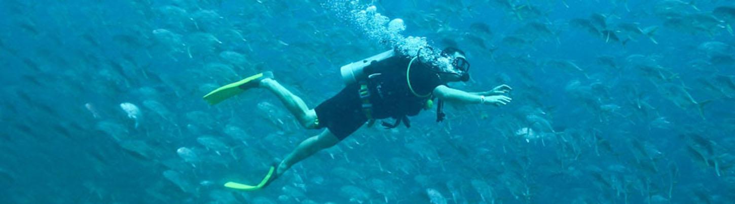 Majahuitas & Los Arcos Scuba Puerto Vallarta 4