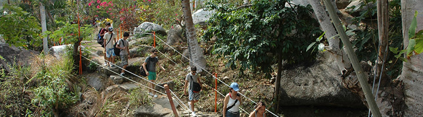 Los Colomitos Hike & Snorkel Eco Tour 4