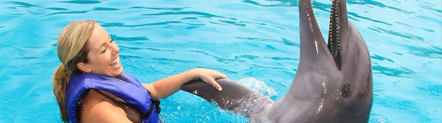 Love Is Underwater Dolphin Swim 1