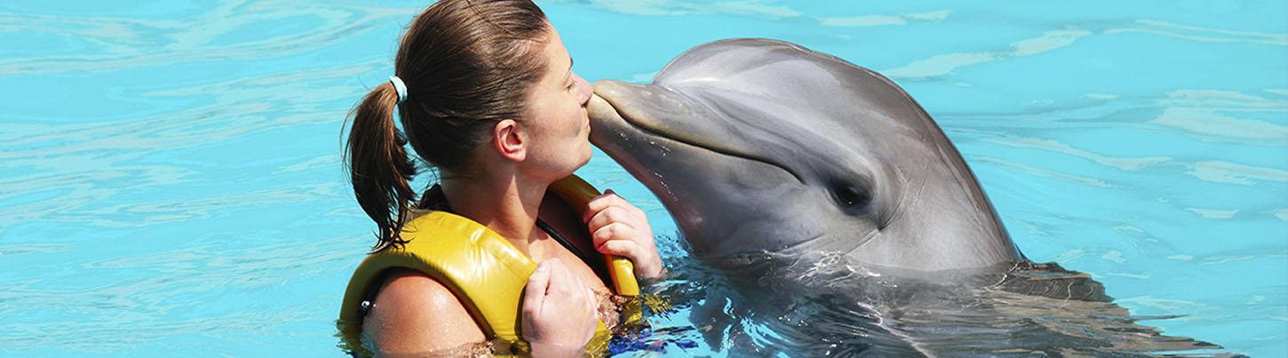 Love Is Underwater Dolphin Swim 2