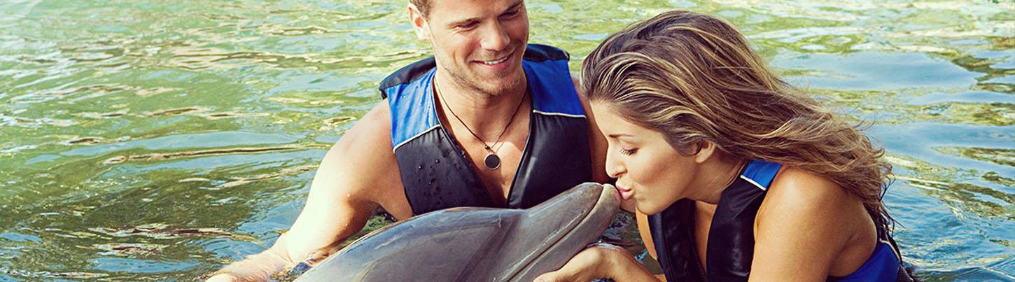 Love Is Underwater Dolphin Swim 3