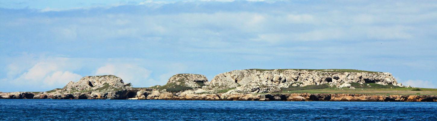 Bahia Alegre Marietas Island Snorkeling Cruise 3