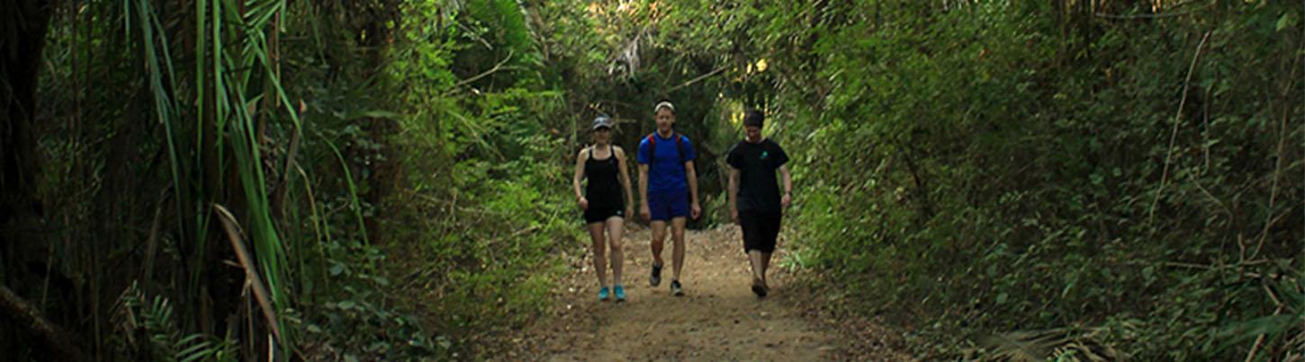 Monkey Mountain Hiking Tour 1