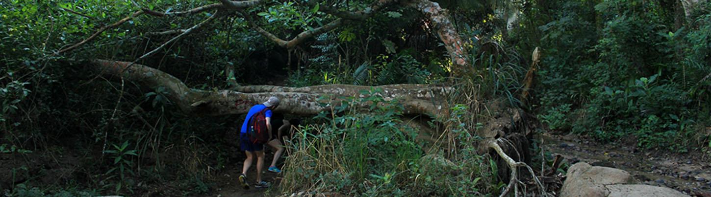 Monkey Mountain Hiking Tour 4