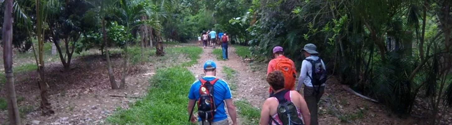 Monkey Mountain Hiking Tour 6