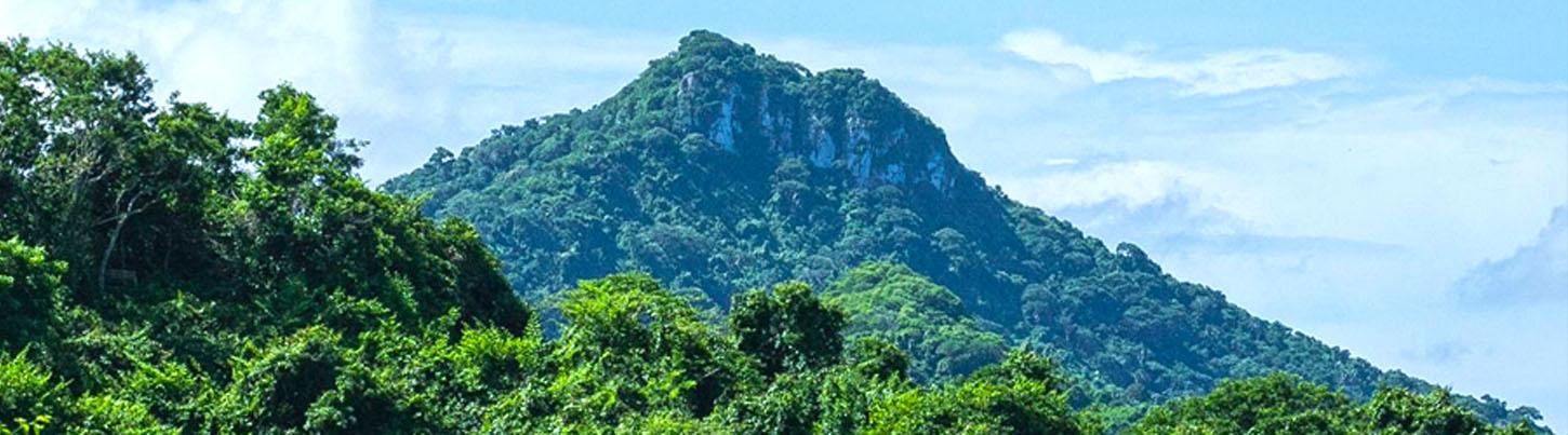 Monkey Mountain Hiking Tour 8