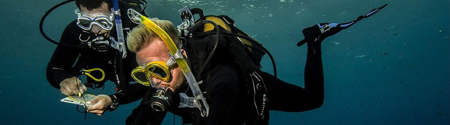 PADI Open Water Diver Certification 5