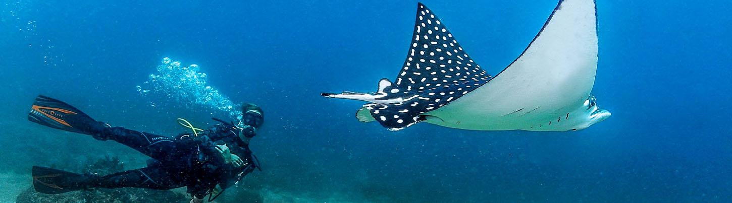 PADI Open Water Diver Certification 7