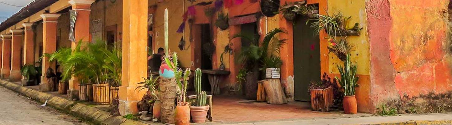 Private Botanical Gardens Eco-Tour & El Tuito Village Escape 2