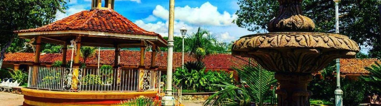 Private Botanical Gardens Eco-Tour & El Tuito Village Escape 4