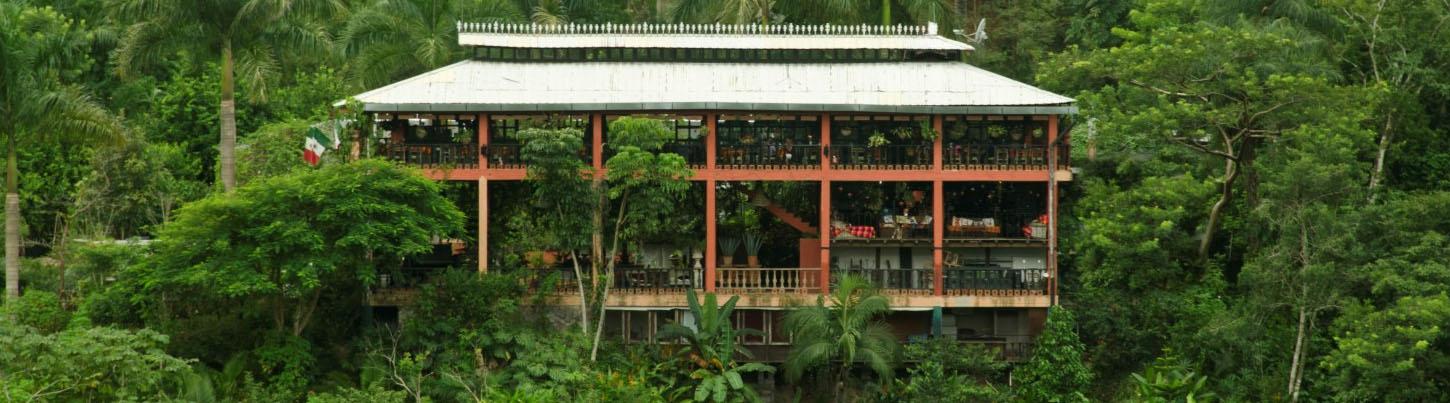 Private Botanical Gardens Eco-Tour & El Tuito Village Escape 5