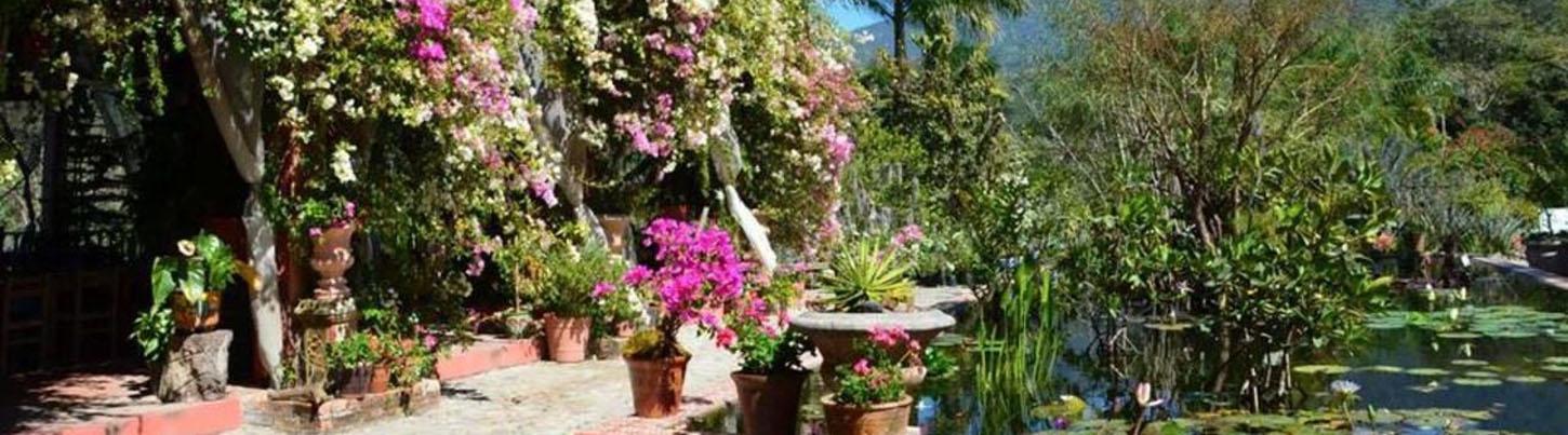 Private Vallarta Botanical Gardens Excursion 2