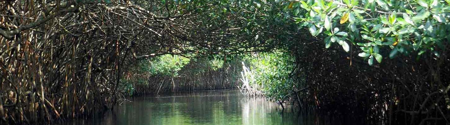 Private San Blas and La Tovara Quest 5