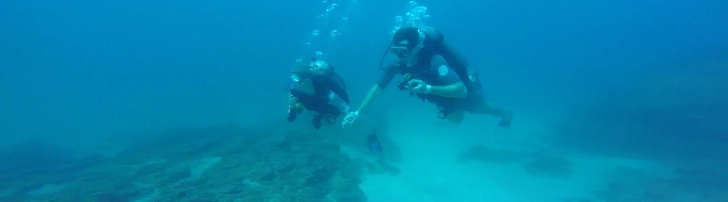 Private Scuba Diving Trips 1
