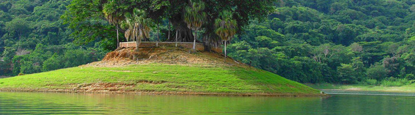 Private Driver Services 6