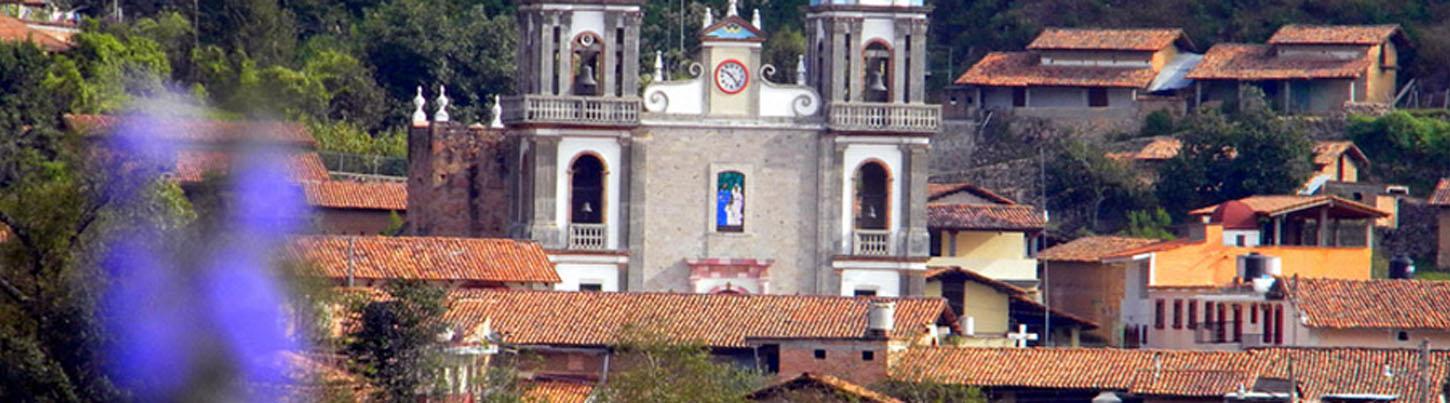 Private Driver Services 7