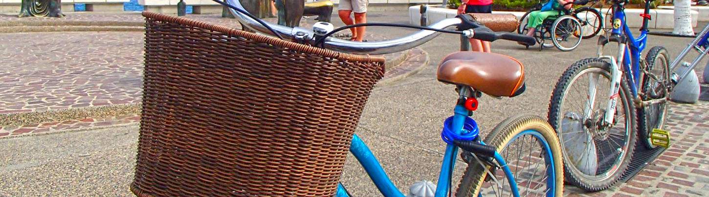 Puerto Vallarta Bike Tour 8