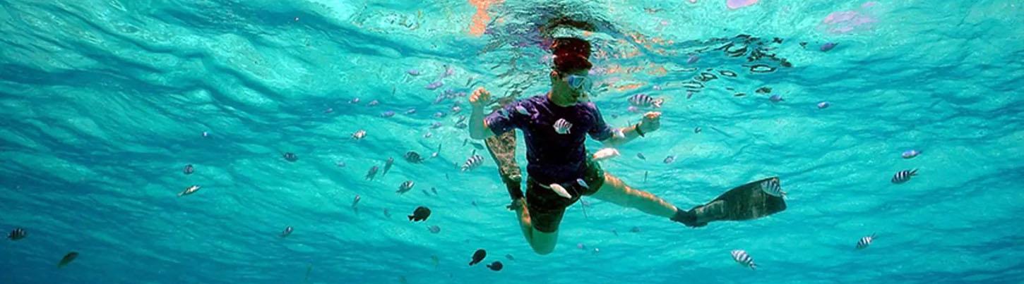 Marietas Islands Tour (Quest to Hidden Beach) 7