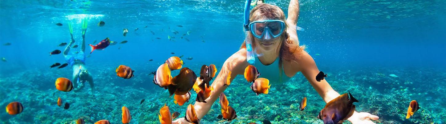 Marietas Islands Tour (Quest to Hidden Beach) 8