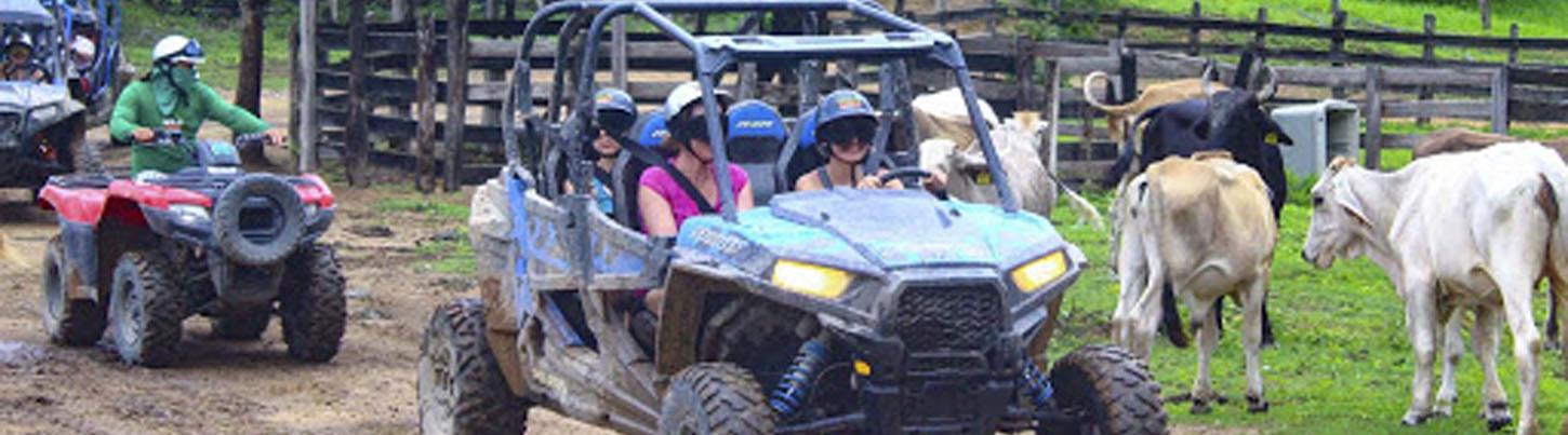 Rancho Las Vegas ATV or UTV + Canopy Tour 1