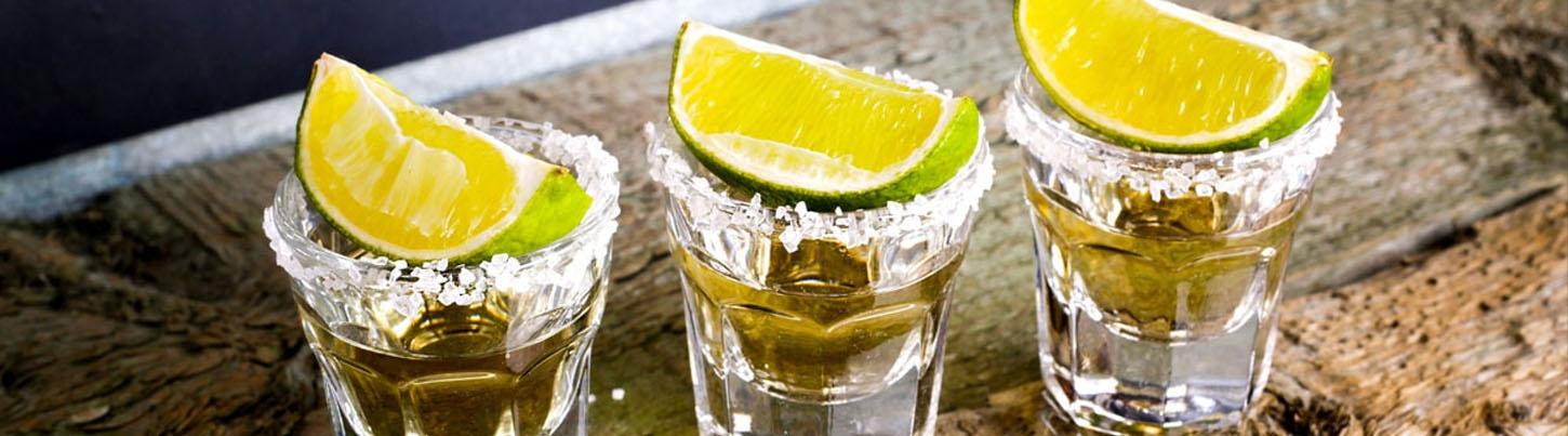 Rancho Los Veranos Tequila Tour 6