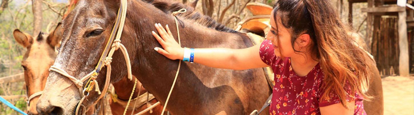 Sierra Madre Mule Riding Rio Cuale 5