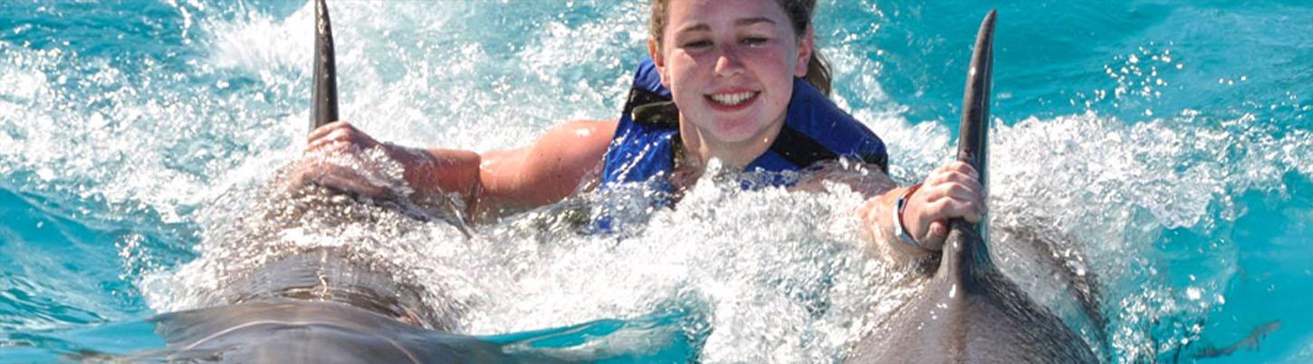 Royal Dolphin Swim + Aquaventuras Water Park 1