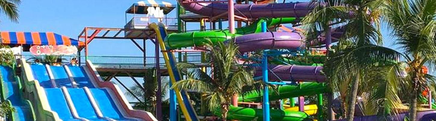 Royal Dolphin Swim + Aquaventuras Water Park 5