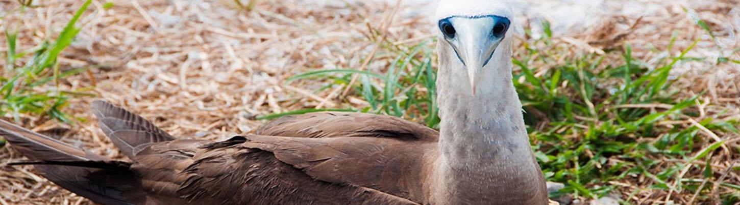 La Tovara Safari Float + San Blas Nayarit Eco Adventure 2