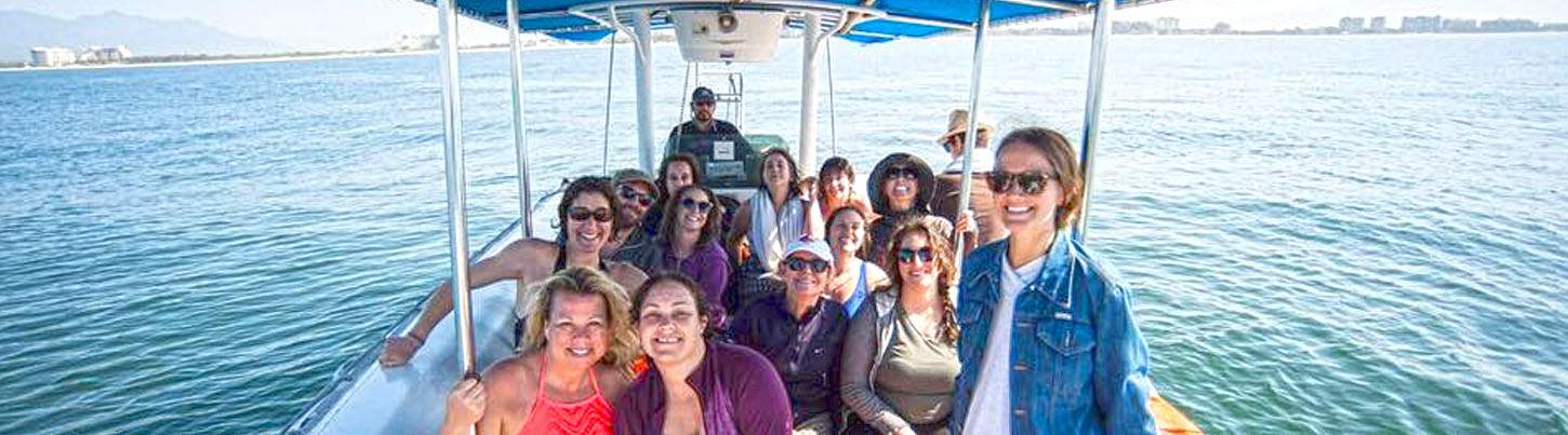 Snorkel With Wild Dolphins 6