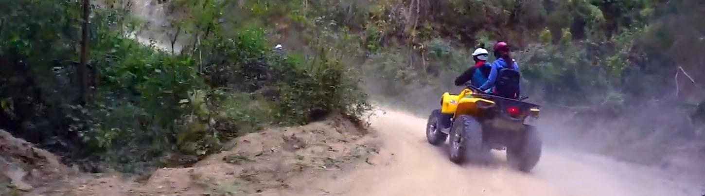 South Bay Jungle ATV + Canopy Indio 6