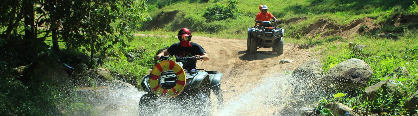 South Bay Jungle ATV Tour 8