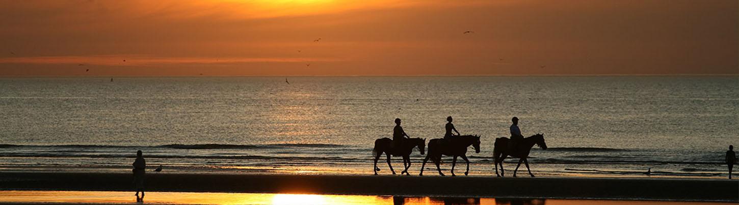 Jungle & Litibu Beach Sunset Horseback Ride 3