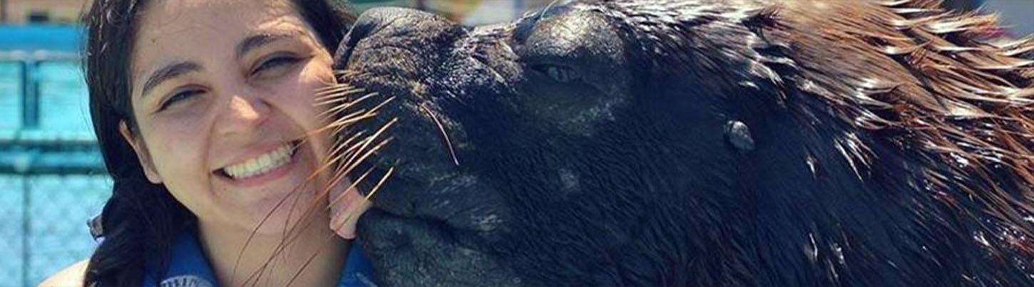 Sea Lion Discovery + Aquaventuras Water Park 6