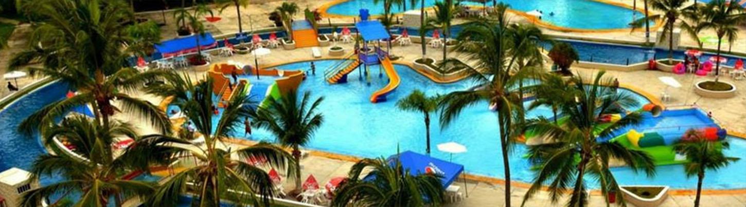 Sea Lion Discovery + Aquaventuras Water Park 8