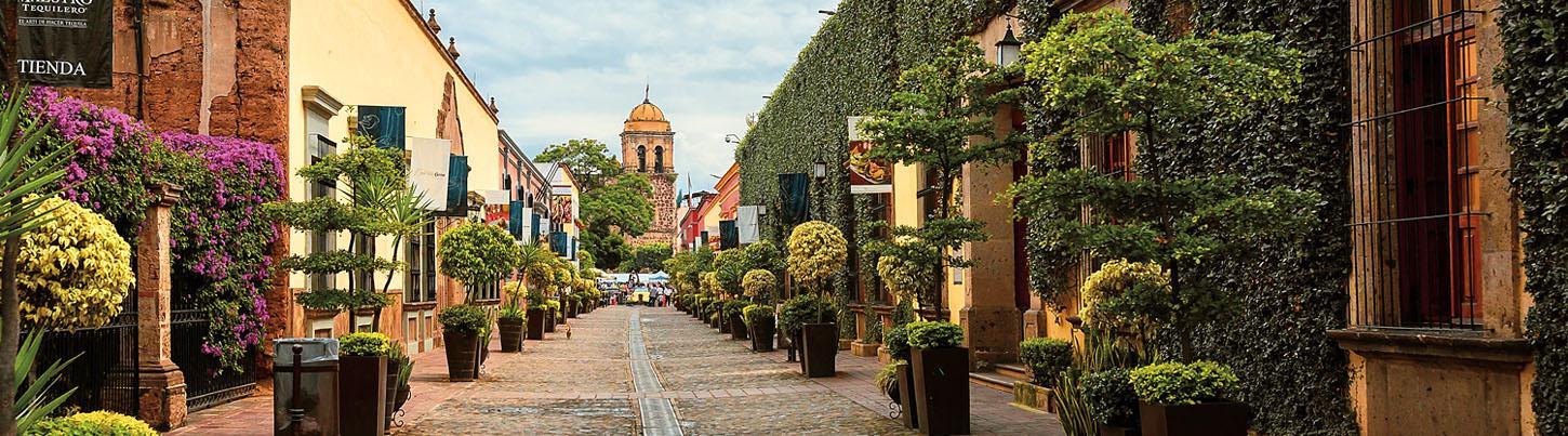 Tequila Town & Los Toriles Archeological Site 1