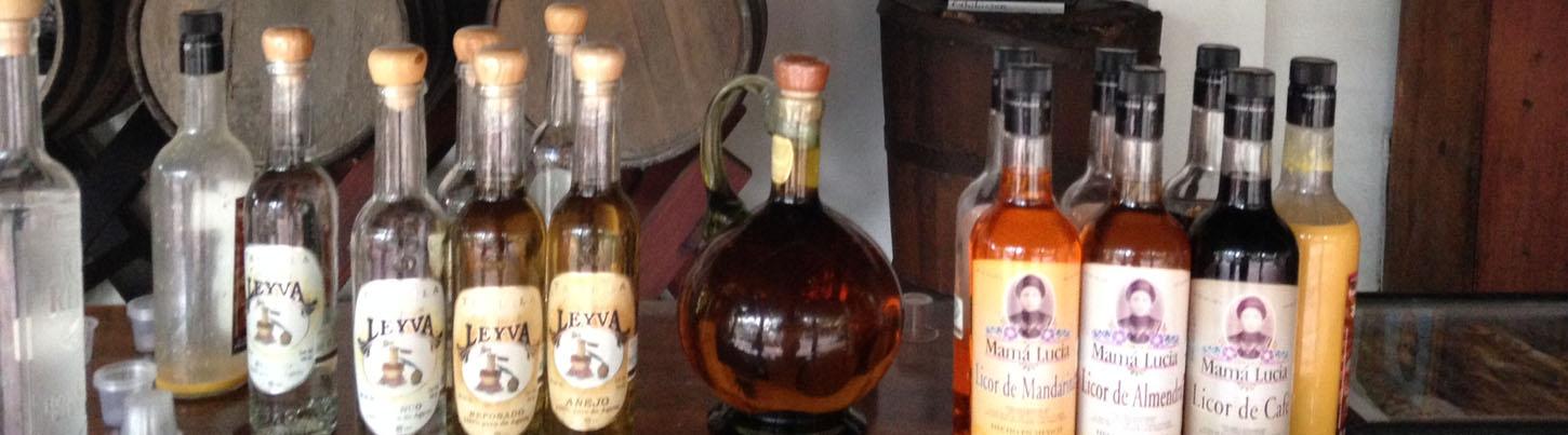 Tequila Town & Los Toriles Archeological Site 4