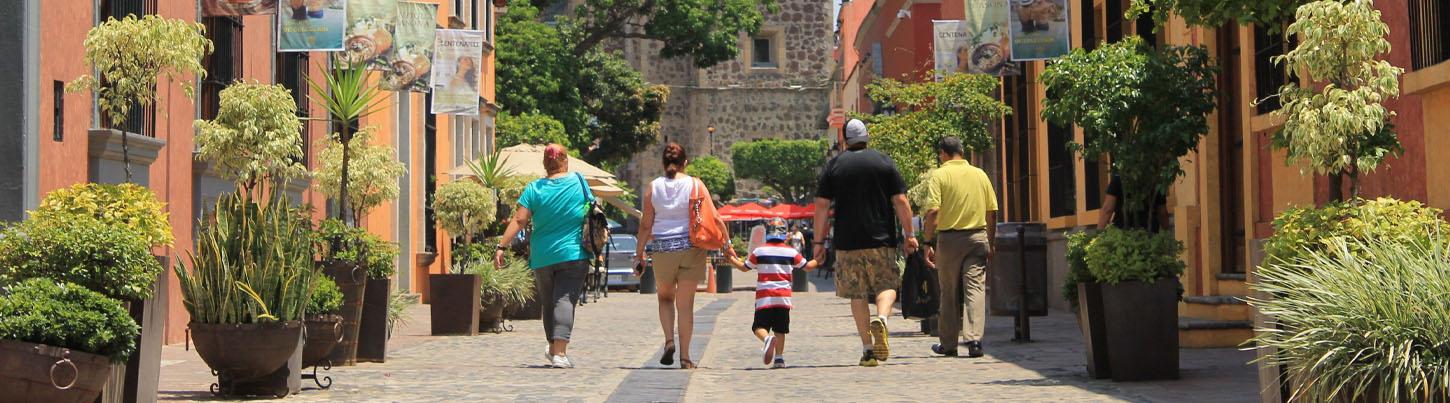 Tequila Town & Los Toriles Archeological Site 7