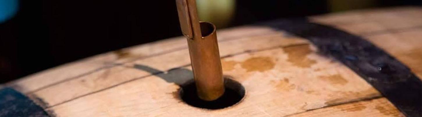 Viva Tequila Puerto Vallarta 3