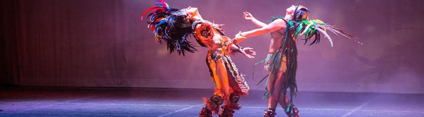 Viva Tequila Puerto Vallarta 8