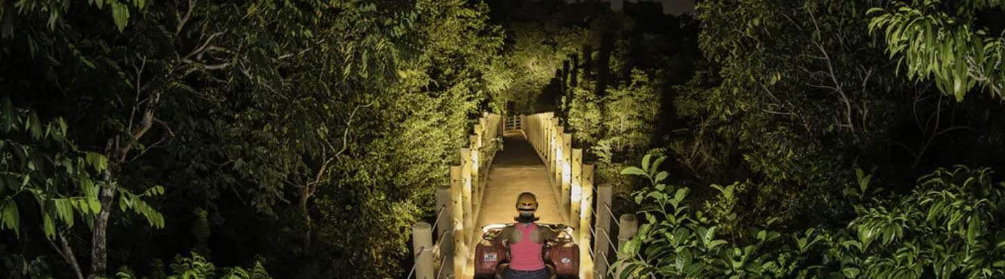 Jungle ATV & Zip Line Adventure at Night 6