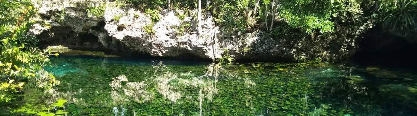 Cenote Cavern Diving Expedition 3
