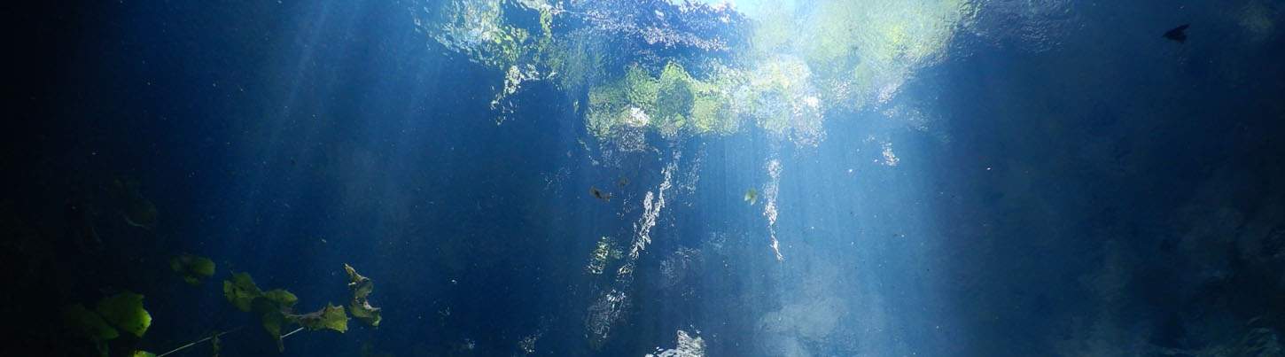 Cenote Cavern Diving Expedition 8