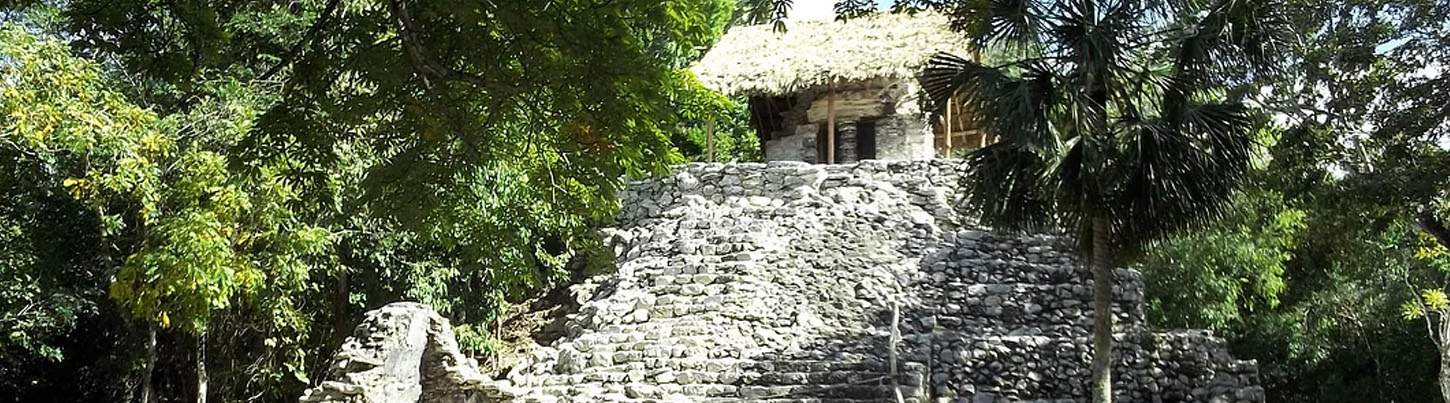 Coba, Cenote and Punta Laguna Monkey Sanctuary 4