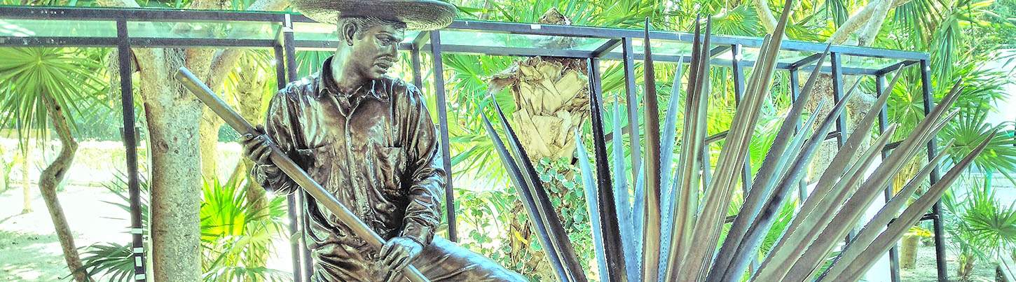 Tulum + Coba Mayan Ruins 8