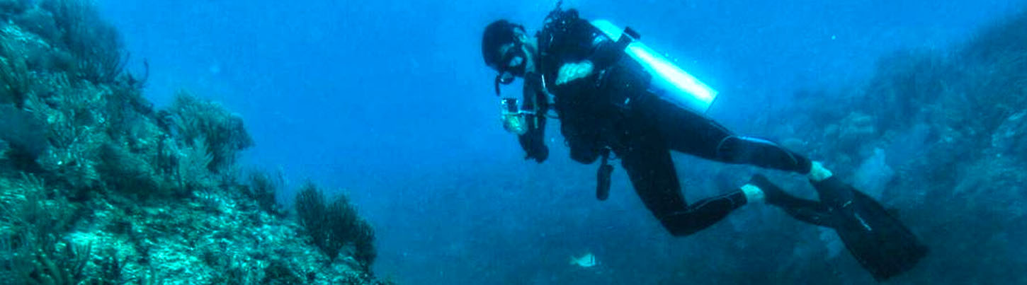 Cozumel Diving Excursion From Playa del Carmen 7