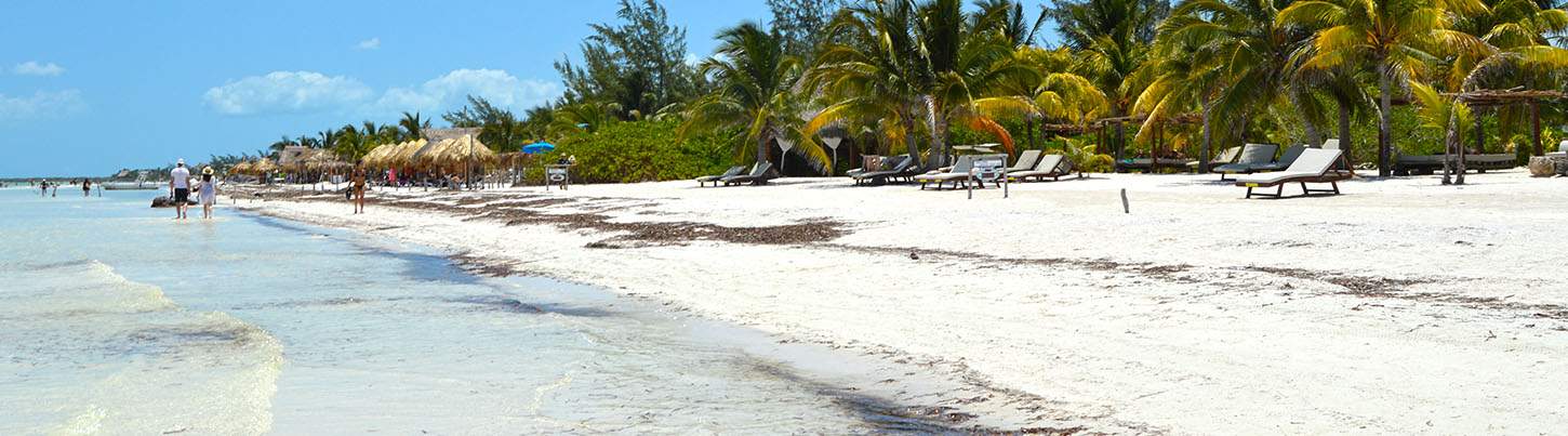 Isla Holbox Mexico Discovery 2