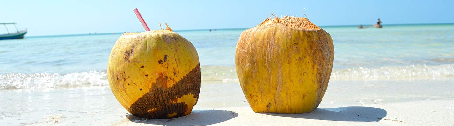 Isla Holbox Mexico Discovery 6